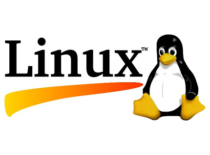 Linux, inventato da Richard Stallman