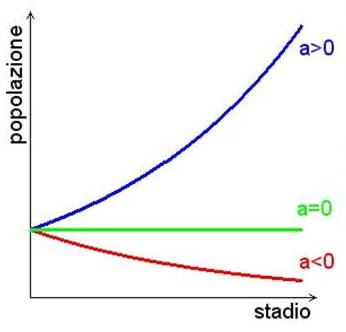 Evoluzione di una popolazione con 1.estinzione 2.situazione stazionaria 3.esplosione