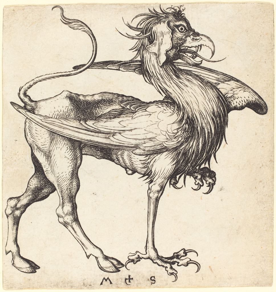The Griffin, di Martin Schongauer