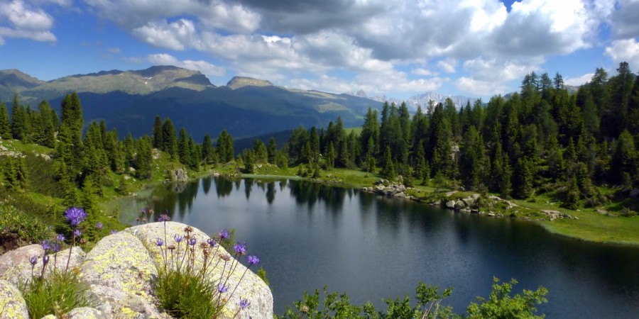 paesaggio italiano: Alpi, Trento