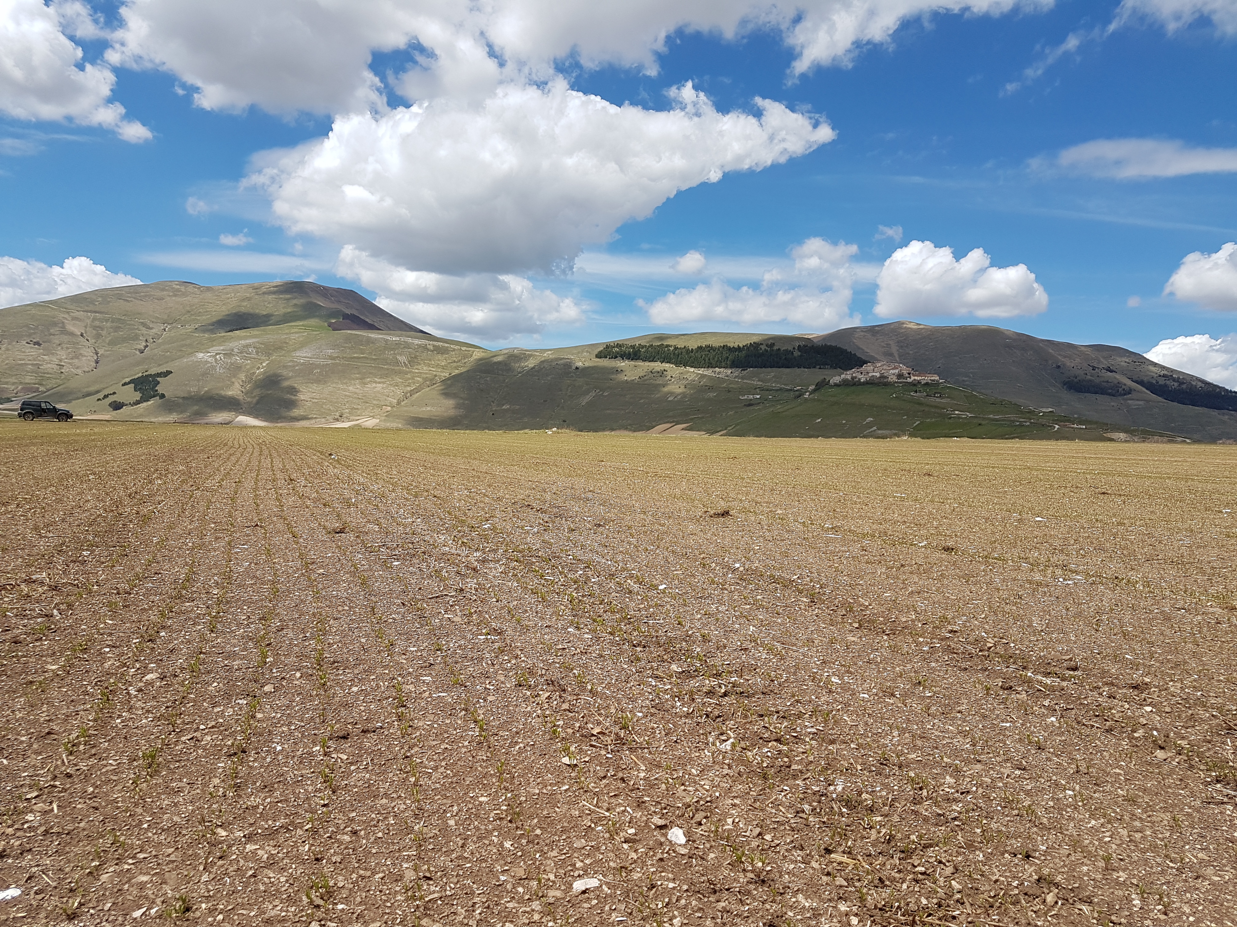 Campo di lenticchia a Castelluccio di Norcia