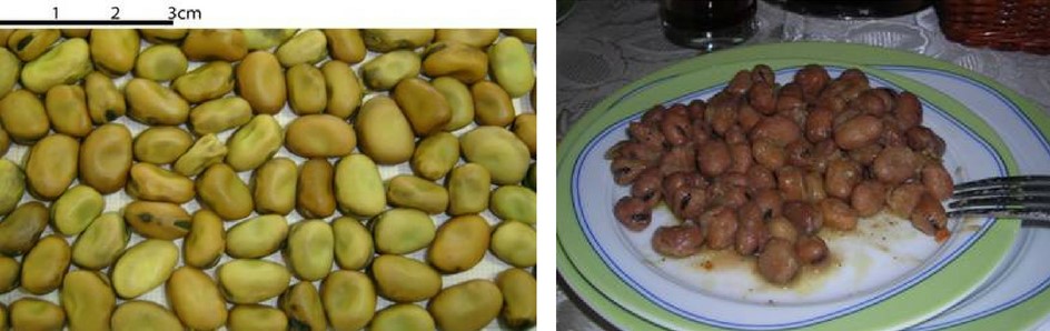 seme e fava cottora cucinata dell'Amerino