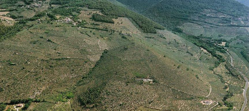 vista aerea della valle di Spoleto: Campello sul Clitunno