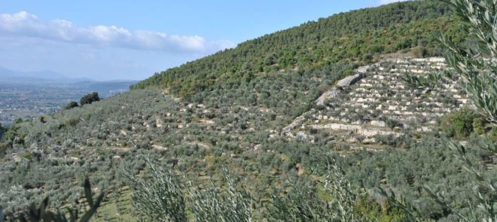 Esempio di hortus conclusus della valle spoletana